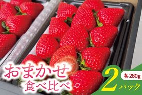おまかせ食べ比べ2パック【埼玉県 春日部 いちご 2種食べ比べ フルーツ 贈答用】（DI003）