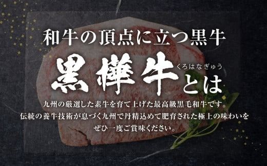 黒樺牛 ロースステーキ 400g （200g×2パック） お肉 肉 牛肉 ブランド黒毛和牛 和牛 黒毛和牛 ブランド牛 ステーキ ロースステーキ 冷凍 国産 九州産 冷凍