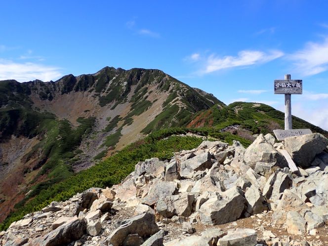 登山 南アルプスまもり隊・登山環境整備への寄附（登山者協力証1枚）100万円 | 登山 環境 整備 登山愛好家 証 山岳 アルプス 南アルプス 守りたい 信州 長野 伊那 【m00-01】