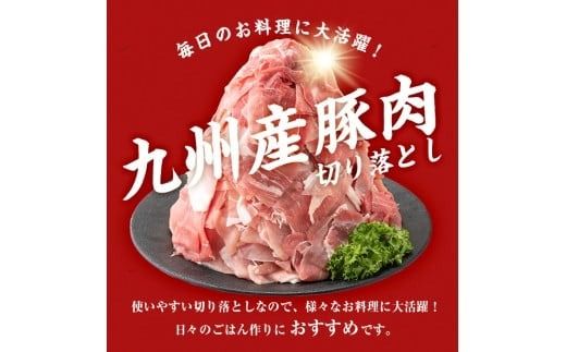【工場直送 業務用】九州産豚切り落とし＜計9kg(300g×30P)＞ c0-137