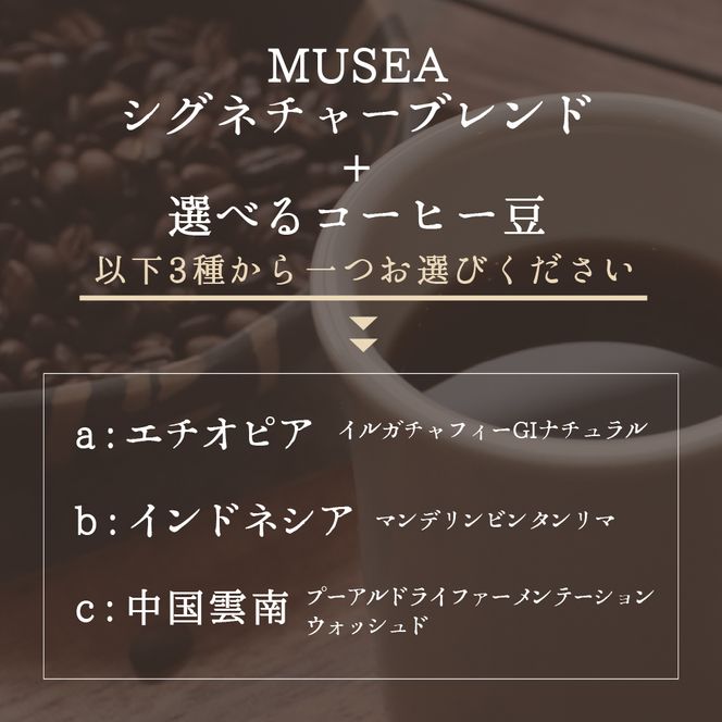 20-94自家焙煎コーヒー豆 選べる2種×500g 合計１kg コーヒー豆 粉 飲み比べ