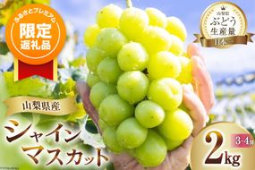 【ふるプレ限定品】 シャインマスカット 先行受付 約 2kg 3～4房 【2026年発送】 [OUTTA REACH JAPAN 山梨県 韮崎市 20742972] マスカット シャイン ぶどう ブドウ 葡萄 厳選 2キロ 産地直送 フルーツ 果物 種無し ふるさと納税