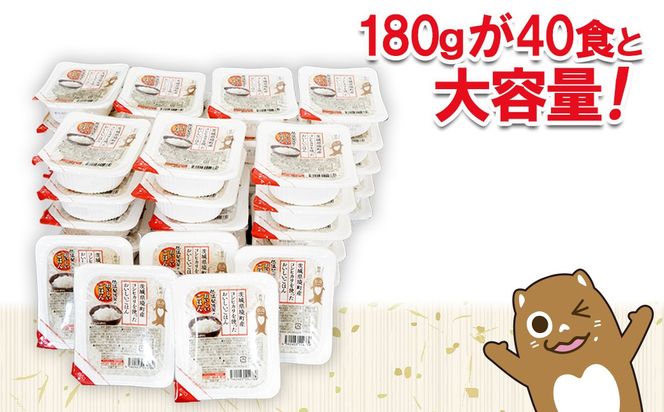 茨城県境町産コシヒカリ使用 低温製法米 おいしいごはん(パックごはん) 180g×20食(1箱) K2703