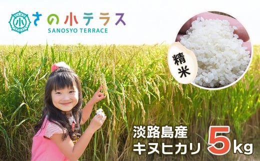 令和７年度 淡路島産キヌヒカリ 5kg （精米）