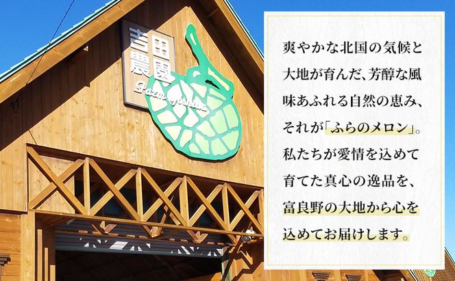 【2026年8月下旬より発送】北海道 富良野 メロン 赤肉 2玉 計約3.6kg メロン フルーツ 果物 新鮮 甘い 贈り物 ギフト 道産 ジューシー おやつ ふらの ブランド 夏  (吉田農園)