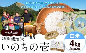 新米 令和6年産 特別栽培米 いのちの壱(白米) 4kg 2kg×2 雑穀米付き《30日以内に出荷予定(土日祝除く)》 熊本県 南阿蘇村 熊本県産 虹色のかば 白米 雑穀米---sms_inci6_30d_24_12000_h4kg---