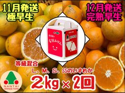 定期便 11・12月発送 有田みかん 2種 食べくらべ 極早生 ＆ 完熟早生 2kg 和歌山 みかん 南泰園 全2回  BS599