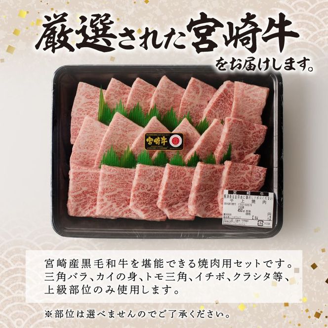 宮崎牛上級焼肉450g N061-YB335