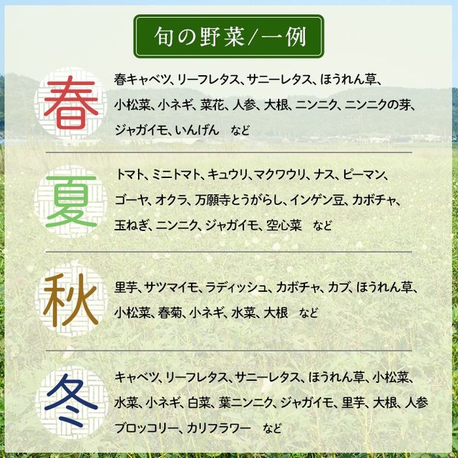 a967 姶良産 有機野菜の詰合せセット(10種前後)【今村農園】姶良市 国産 鹿児島県 野菜 やさい 旬 有機栽培 詰め合わせ 春 夏 秋 冬 季節