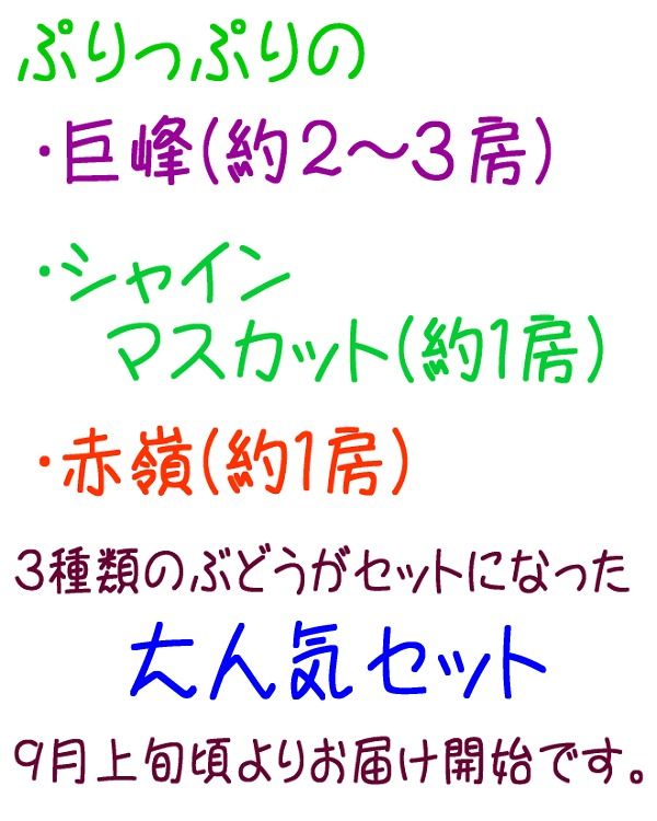 農家直送 ３色ぶどう詰め合わせ大人気セット 約2kg入り 【先行予約】 AO032