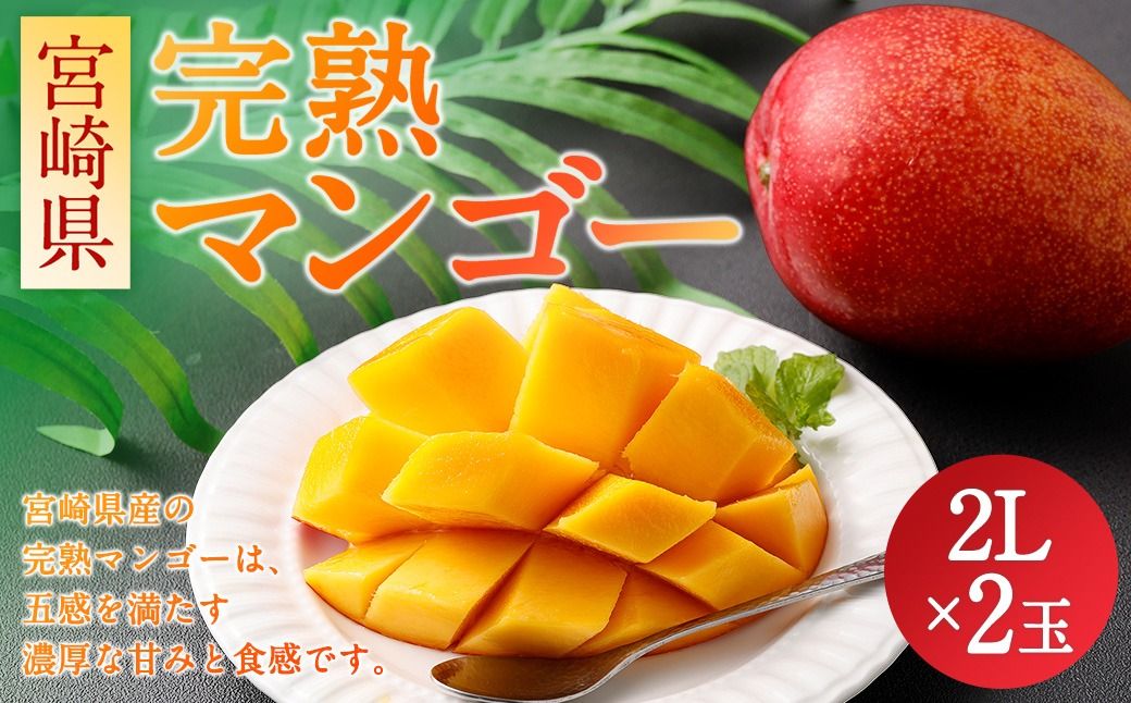 [宮崎県 完熟マンゴー2L×2玉 700g]2026年4月上旬〜7月上旬までに順次出荷[c1165_hi_x2] マンゴー 完熟 果物 くだもの フルーツ 高鍋町