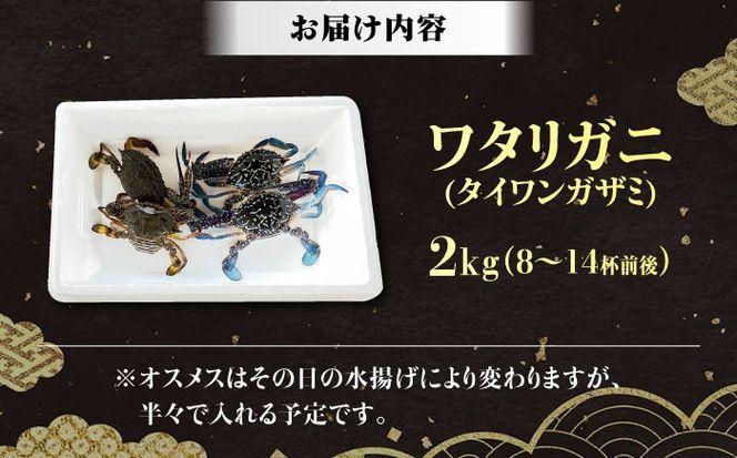 【先行予約】【2026年8月以降順次発送】豊前海産 タイワンガザミ 2kg (10～24杯前後) オス メス セット 《築上町》【明青丸】 ワタリガニ 渡り蟹 蟹 カニ[ABCB003]