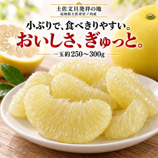 土佐文旦 ミニチュアミラクル 3kg 家庭用 超小玉 日本ギフト大賞受賞 文旦発祥の地 園主こだわり 希少サイズ 小玉よりさらに小さい 高知県土佐市産 高知県産 国産 3キロ ぶんたん みかん 柑橘類 高級フルーツ 果物 産地直送 お取り寄せ ギフト 先行予約 やの一果彩[BQAC025]
