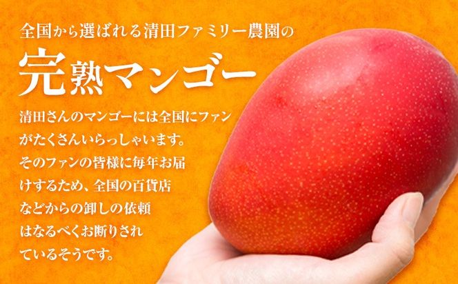 くまもと完熟マンゴー 2～3玉(約1kg～1.2kg前後) 熊本県玉名郡玉東町『清田ファミリー農園』マンゴー 完熟 秀品【日付指定不可】《5月下旬-8月末頃出荷》---gkt_kyfm_2_1kg---