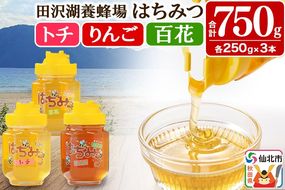 秋田県産はちみつ（トチ・リンゴ・百花）250g×各1本 合計750g 化粧箱入り 詰め合わせセット 田沢湖養蜂場|02_tyj-201101