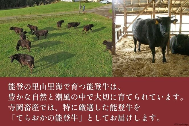 牛肉 能登 肩ロース (4～5等級) しゃぶしゃぶ用 450g [寺岡畜産株式会社 石川県 宝達志水町 38601304] 肉 お肉 しゃぶしゃぶ しゃぶしゃぶ肉 ロース 肩ロース 牛 国産 冷凍 和牛