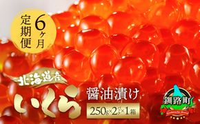 【定期便 6ヶ月連続】北海道産 いくら醤油漬け 500g（250g×2パック入り） 小分け 国産 いくら いくら醤油漬 しょう油 しょうゆ イクラ ikura 小分け 天然 鮭 鮭卵 鮭いくら 魚卵 冷凍 定期便 6回 魚介類 海鮮 絶品 人気 笹谷商店 直営 釧之助本店 せんのすけ 高級 ギフト 贈答用 贈答品 海鮮定期便 定期便 海鮮 6回 北海道 釧路町 釧路超 特産品 br04