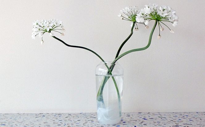 花瓶 モルビ フラワーベース ホワイト Sghr スガハラ ガラス花びん ガラス花瓶 ガラス 花びん おしゃれ かわいい 日用品 インテリア 千葉 千葉県 九十九里町 九十九里