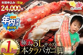 かに カニ【2025 年内配送】 本 タラバガニ 脚 ボイル済 約1kg 極太5Lサイズ [カネダイ 宮城県 気仙沼市 20564323_CF02] カニ かに 蟹 たらばがに たらば蟹 タラバ蟹 たらば タラバ ボイル