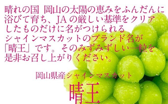 ぶどう 2026年 先行予約 シャイン マスカット 晴王 2房（合計約1.1kg） ブドウ 葡萄  岡山県産 国産 フルーツ 果物 ギフト デザート 食後 酸味が少ない 産地直送