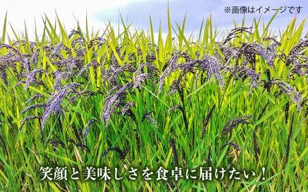 糸島産黒米 糸島市 / Carna [ALA054] 国産 お試し 送料無料 古代米 玄米 もち米 紫米 雑穀