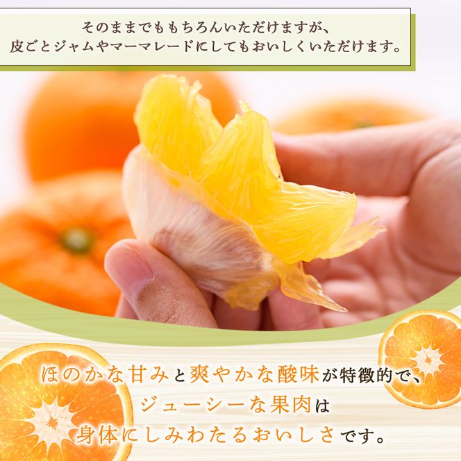 訳あり！紅甘夏(10kg) 国産 紅甘夏 柑橘 果物 フルーツ デザート 果実 期間限定 数量限定 【古田果樹園】akn093-04