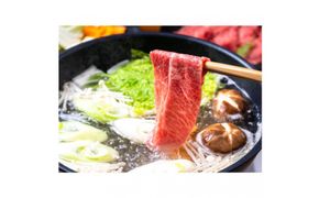 鳥取和牛モモ しゃぶしゃぶ用 500g 312011_DU005