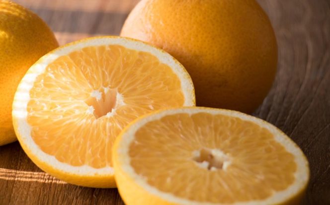 ★2026年3月下旬より発送★ こだわりの和歌山有田産木成り完熟八朔「さつき」 約5kg M～2Lサイズおまかせ BZ135