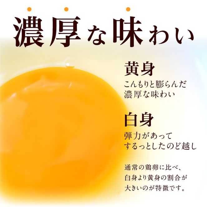 【6回便】名古屋コーチン卵(30個入り)×6回（計180個） [006K03-T]