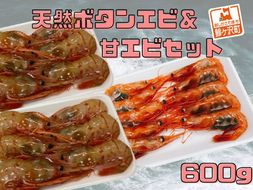 天然ボタンエビ＆甘エビセット 計600g【急速冷凍】 海鮮 魚介 獲れたて 鮮度 お刺身 塩焼き 素揚げ 水揚げ たっぷり 
