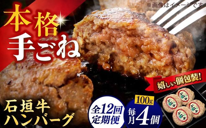 yꌧszyS12ցzꌧYΊ_no[OZbg 400g (100g×4)  no[O Ⓚ Mtg  s / {X[BCAZ023]