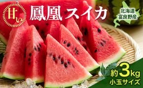 【2026年夏発送】ふらの山部の秀品スイカ『鳳凰スイカ』約3kg 1玉(坂口農産) 北海道 富良野産 すいか 西瓜 夏 フルーツ 果物 くだもの 青果