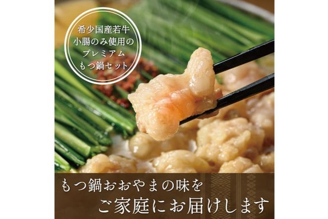 もつ鍋 4回 定期便 おおやま 博多もつ鍋 みそ味 しょうゆ味 交互発送 各3人前 総計12人前 [ラブ 福岡県 筑紫野市 21760980] もつ鍋セット モツ鍋 もつ鍋おおやま 味噌 みそ 醤油 しょうゆ