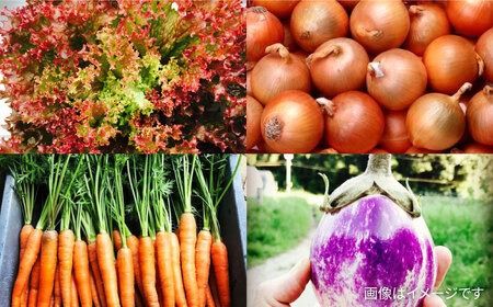 【全12回定期便】糸島の朝産み黄金タマゴ10個 朝どれ新鮮野菜5品 セット【福岡県糸島産】 糸島市 / オーガニックナガミツファーム 玉子 やさい [AGE049]