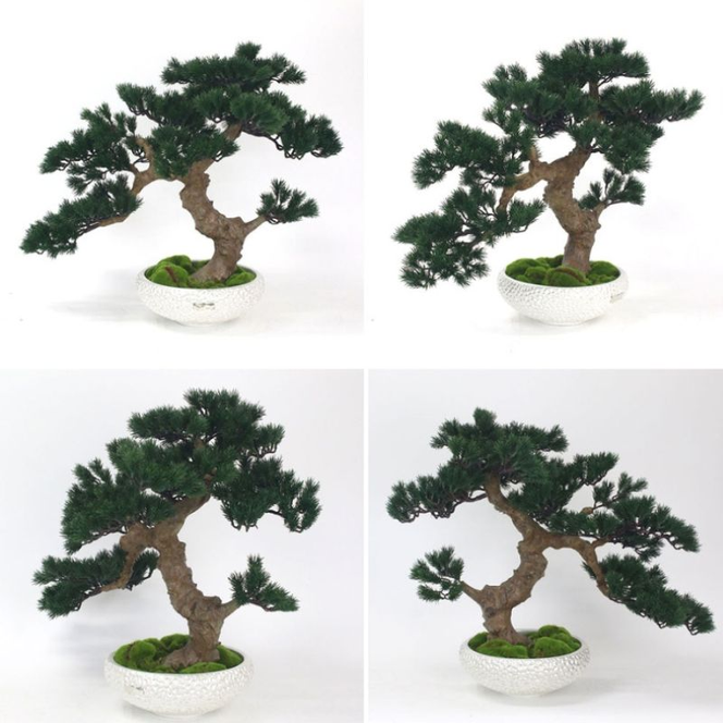 アートフラワー エミリオ・ロバ　盆栽　TUTTA30500