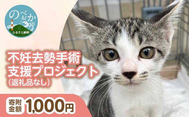 人と猫が互いに幸せになれるまちを目指して『不妊去勢手術支援プロジェクト』（返礼品はありません） N0159-9999997