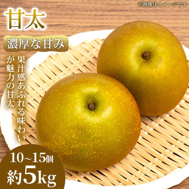 【濃厚な甘み】やわらか果肉の甘太 10～15個(約5kg) 1箱 甘太 梨 フルーツ 甘い 濃厚 農家直送 ギフト 贈答用 家庭用 お取り寄せ 熊本県