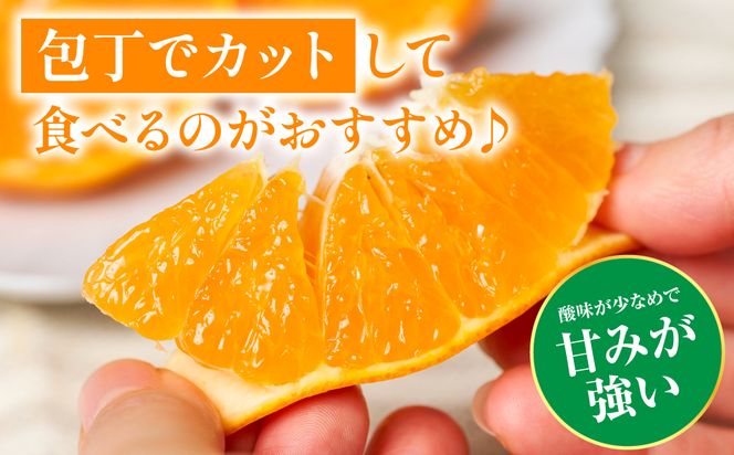 【先行予約】 八代市東陽町産の 「熊本EC12みかん」 約3kg みかん 柑橘 フルーツ 果物 果実 ミカン 蜜柑 熊本県 八代市 【2026年12月上旬より順次発送】