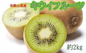 【先行予約】和歌山県産 キウイフルーツ 約2kg （サイズ混合）