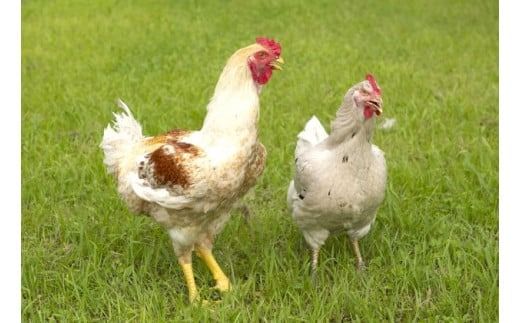 はかた地どりモモムネセット 各約1kg×2パック 計約2kg