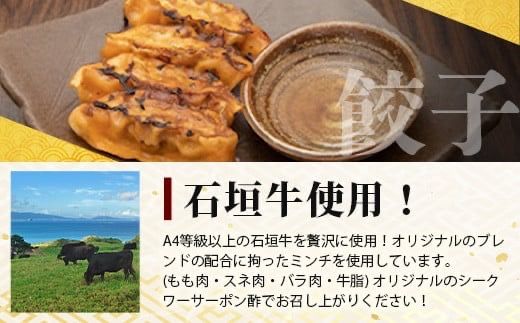 ≪餃子≫ 石垣牛 ぎょうざ 10個【 石垣牛 ぎょうざ 餃子 焼き餃子 水餃子 焼餃子 石垣牛 沖縄県 石垣市 】GS-1