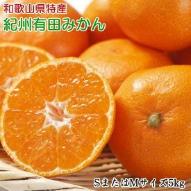 ZD6189n_ 【2026年先行予約】【秀品】 和歌山 有田みかん 5kg (SサイズまたはMサイズ) 【ミカン 蜜柑 柑橘 温州みかん 有田みかん】