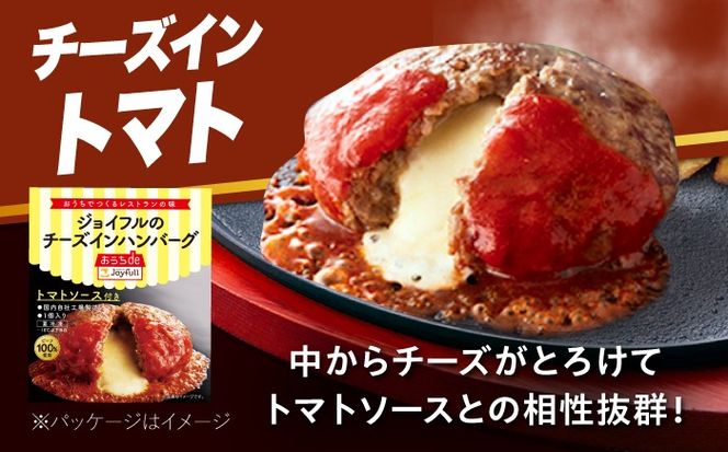 ジョイフル ハンバーグ 6個 ( デミグラスソース ・ トマトソース )《築上町》【株式会社 ジョイフル】[ABAA087]