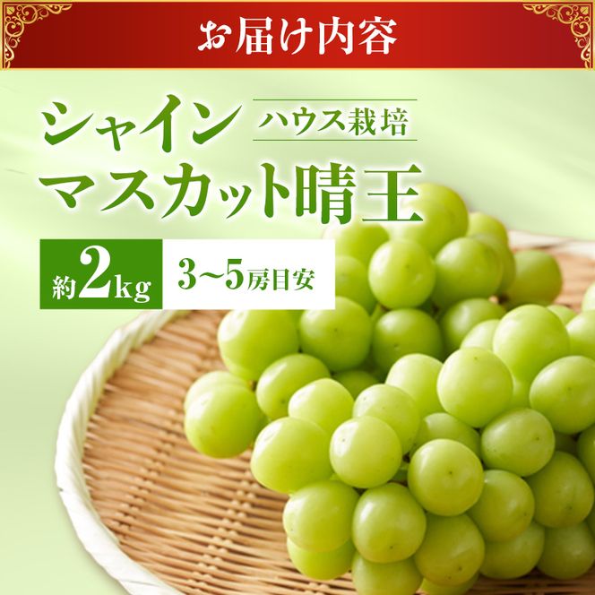 【2027年先行受付】 シャインマスカット 晴王 ハウス栽培 約2kg(3～5房目安) 岡山県産 ぶどう 葡萄 ブドウ 御中元 ギフト 御礼 プレゼント 御礼 御祝 御供 果物 くだもの フルーツ