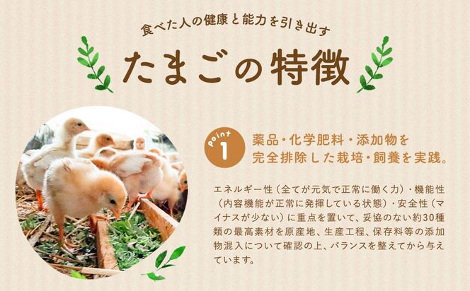 ＜先行予約＞【定期便：6か月】【食べチョクアワード2025 畜産部門 1位の日本一のたまご】単なる平飼いではない究極の卵『わたしたちのぷらいどたまご』3パック（30個）セット 141305_GX03