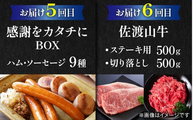【全6回定期便】家族で満喫！沖縄のお肉贅沢セット【沖縄市】ハンバーグ あぐー 石垣牛 ステーキ 焼肉 冷凍 ギフト お取り寄せ 沖縄市 / お肉屋本店 / 豚々茶舗 / TESIO / 肉のサブロー[BCZZ034]