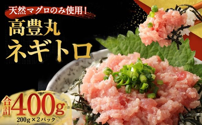 【お試しセット】 土佐流藁焼きかつおのたたき２節と高豊丸ネギトロ４００ｇ 魚介類 海産物 カツオ 鰹 わら焼き 高知 コロナ 緊急支援品 海鮮 冷凍 家庭用 訳あり 不揃い 規格外 小分け 個包装 まぐろ マグロ 鮪 ねぎとろ 藁 藁焼き かつお 室戸 ttk ngt　tk069