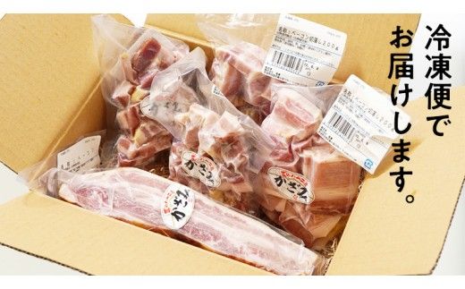 ～ 匠のハム工房 ～ 燻製職人 ！ 風實 熟成 ベーコン 三昧 ギフト 贈答 詰め合わせ 小分け 冷凍 豚肉 燻製 豚バラ ベーコン ブロック 厚切り 豚 かざみ （ 熨斗付き 対応可 プルダウンからお選びください ） [AJ004ci]