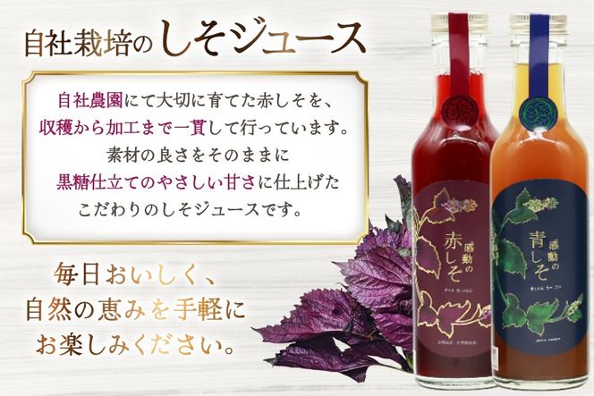 AJ310 感動の赤しそジュース 瓶 200ml 感動の青しそジュース 瓶 200ml 生姜シロップ 瓶 250ml 飲み比べセット [ しそジュース 紫蘇ジュース 赤しそ 青しそ 長崎県 島原市 ]