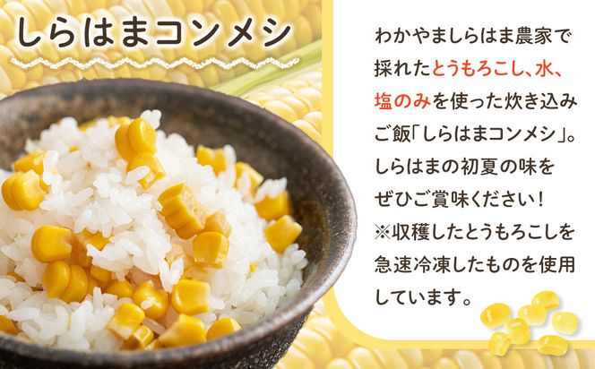 しらはまコンメシ 4袋 セット わかやましらはま農家 特製 炊き込みご飯の素 304018_DK02